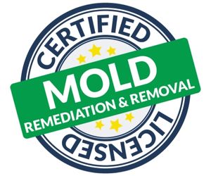 mold-logo